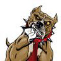 PitBullTax Software